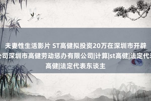 夫妻性生活影片 ST高健拟投资20万在深圳市开辟全资子公司深圳市高健劳动惩办有限公司|计算|st高健|法定代表东谈主