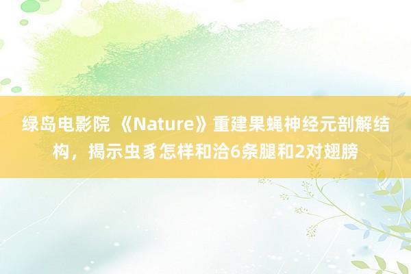 绿岛电影院 《Nature》重建果蝇神经元剖解结构，揭示虫豸怎样和洽6条腿和2对翅膀