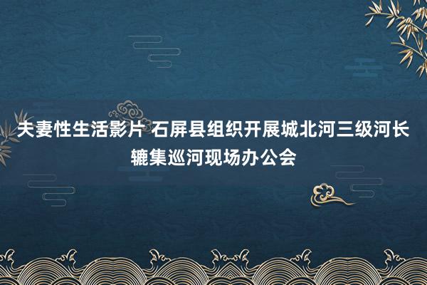 夫妻性生活影片 石屏县组织开展城北河三级河长辘集巡河现场办公会