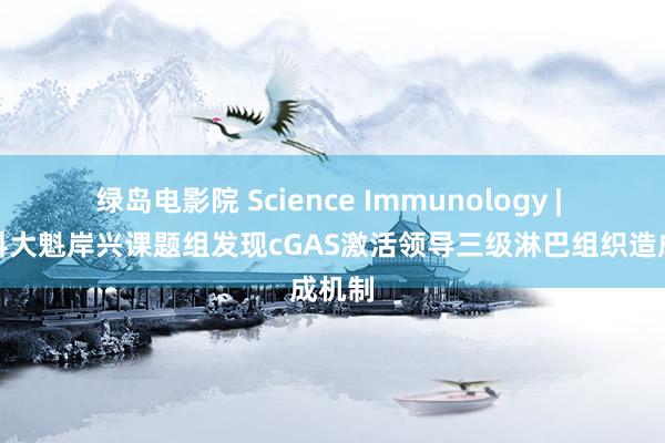 绿岛电影院 Science Immunology | 中国科大魁岸兴课题组发现cGAS激活领导三级淋巴组织造成机制