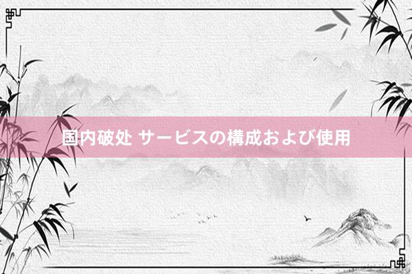 国内破处 サービスの構成および使用