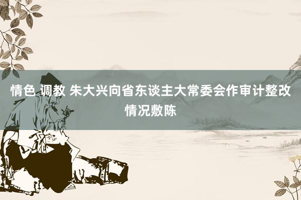 情色 调教 朱大兴向省东谈主大常委会作审计整改情况敷陈