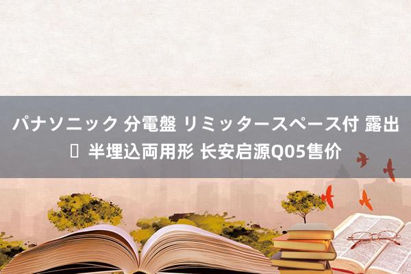 パナソニック 分電盤 リミッタースペース付 露出・半埋込両用形 长安启源Q05售价