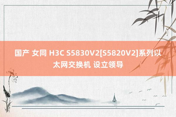 国产 女同 H3C S5830V2[S5820V2]系列以太网交换机 设立领导