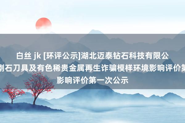 白丝 jk [环评公示]湖北迈泰钻石科技有限公司迈泰金刚石刀具及有色稀贵金属再生诈骗模样环境影响评价第一次公示