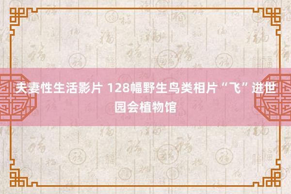 夫妻性生活影片 128幅野生鸟类相片“飞”进世园会植物馆