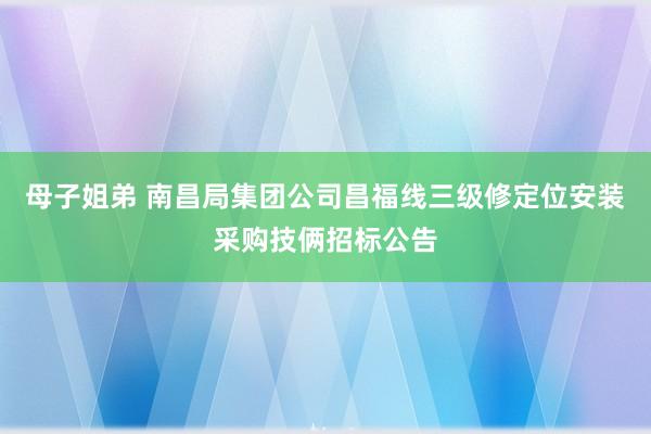 母子姐弟 南昌局集团公司昌福线三级修定位安装采购技俩招标公告